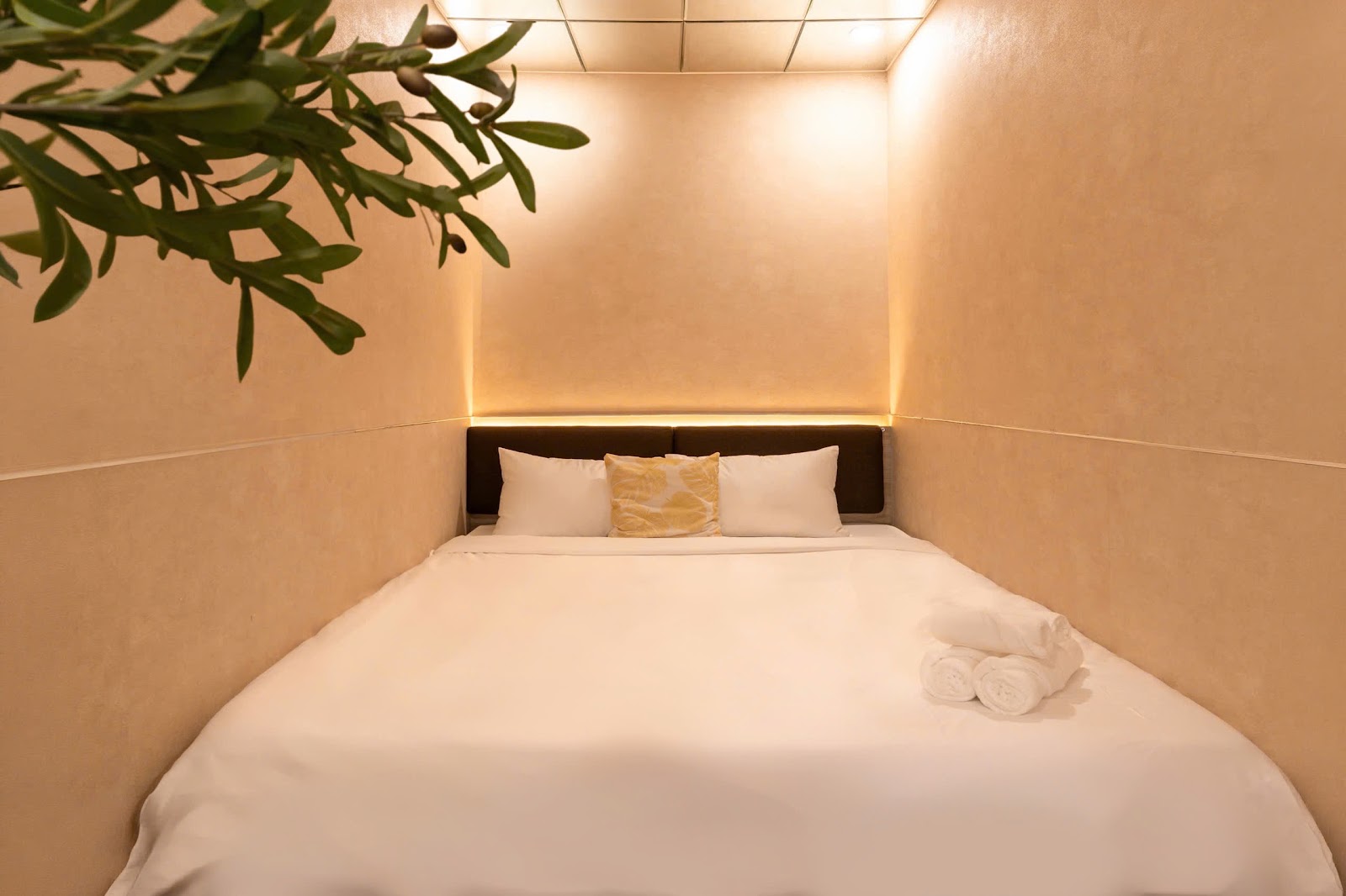 D2 센터 풀빌라 · 97/5 đường Trần Não, Phường An Khánh, Quận 2, TPHCM